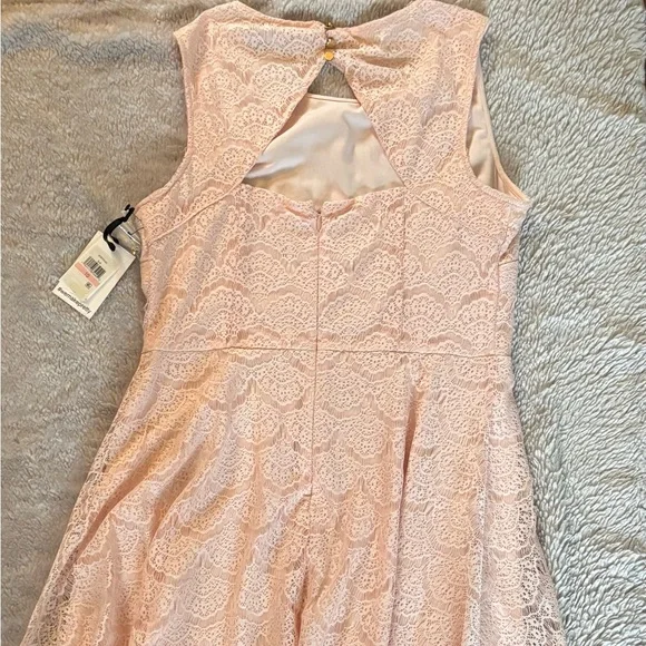 Kensie Pink Lace Dress - Picture 4 of 7